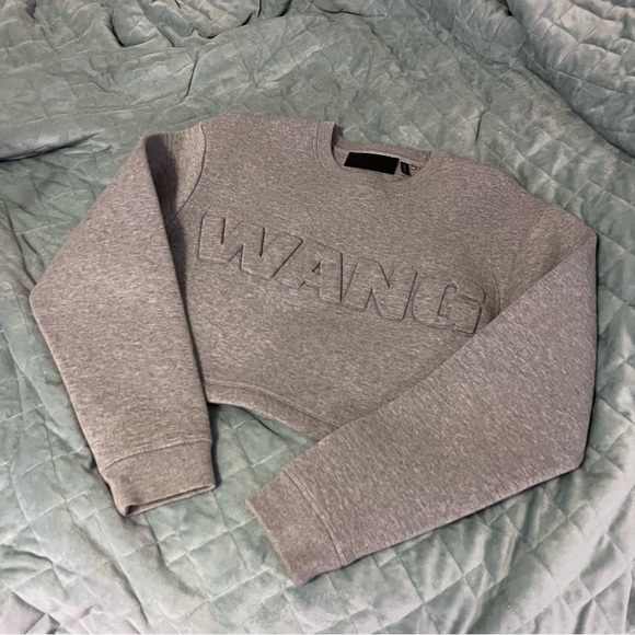 ALEXANDER WANG X H&M COLLAB SCUBA GREY CROPPED CREWNECK SWEATER - Picture 2 of 6